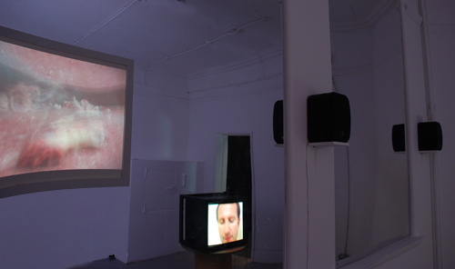 Installation view